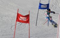 Landes-Ski-2015 06 Bettina Zopf